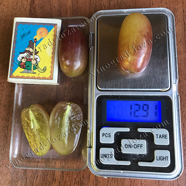 Виноград Юліан. Столовий, Ультра-ранній. Саджанці ВКС. Харків Харьков - изображение 1