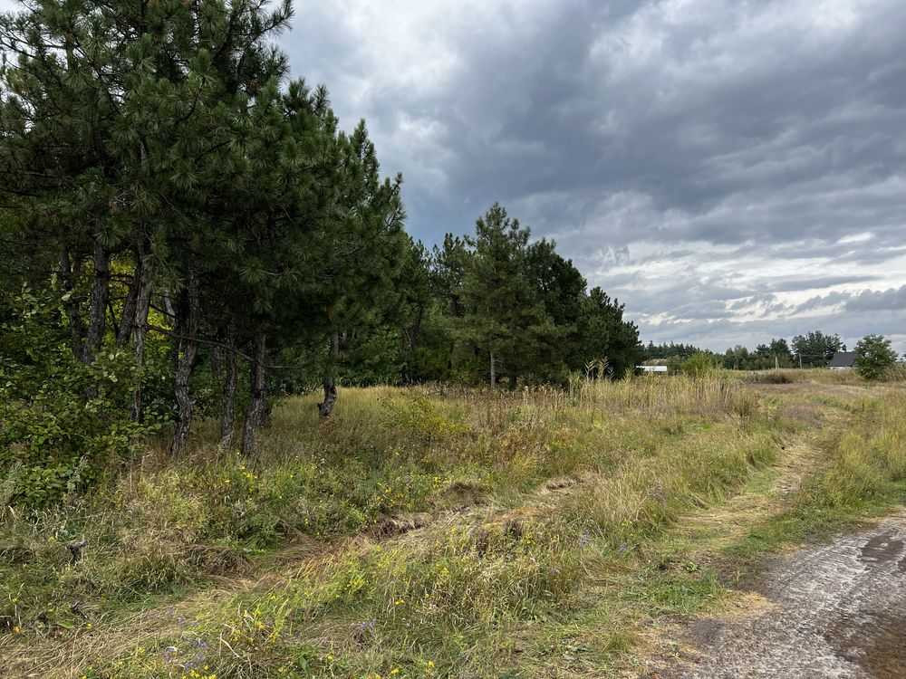 продажа участок под жилую застройку Новомосковский, Песчанка, 10000 $  - изображение 7