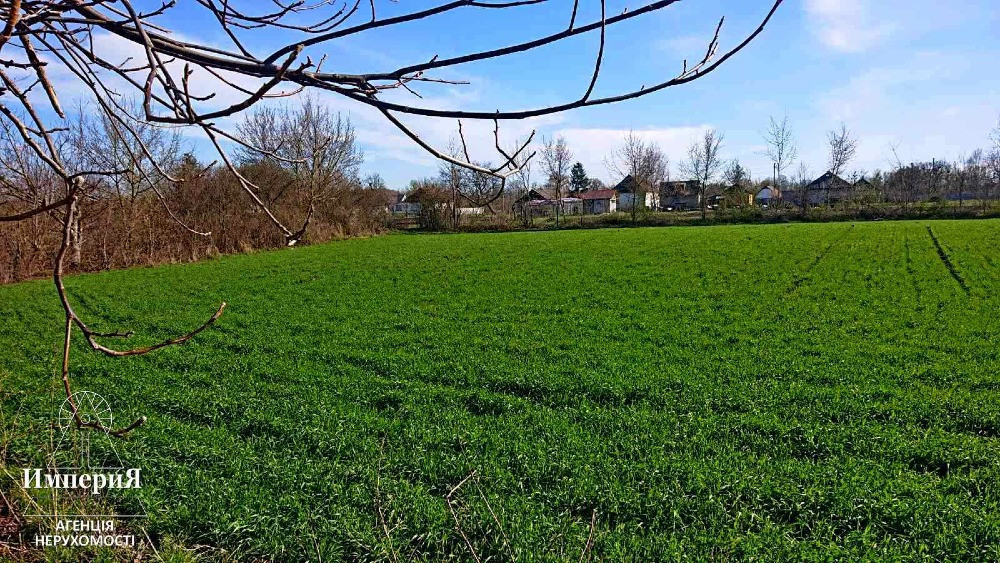 Дом в селе Острая Могила.Газ,свет,вода заведены. Біла Церква - зображення 12
