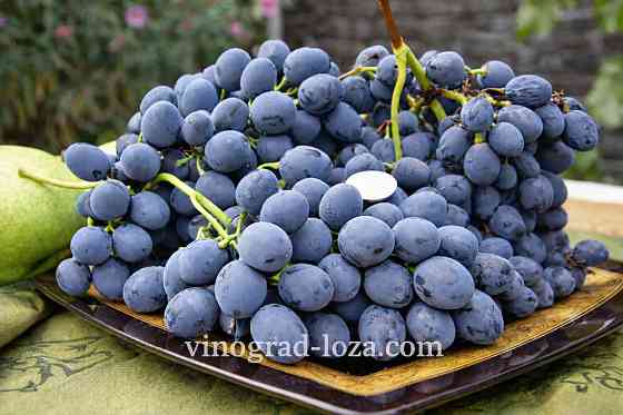 Свіжий виноградний сік - без цукру і консервантів Харків