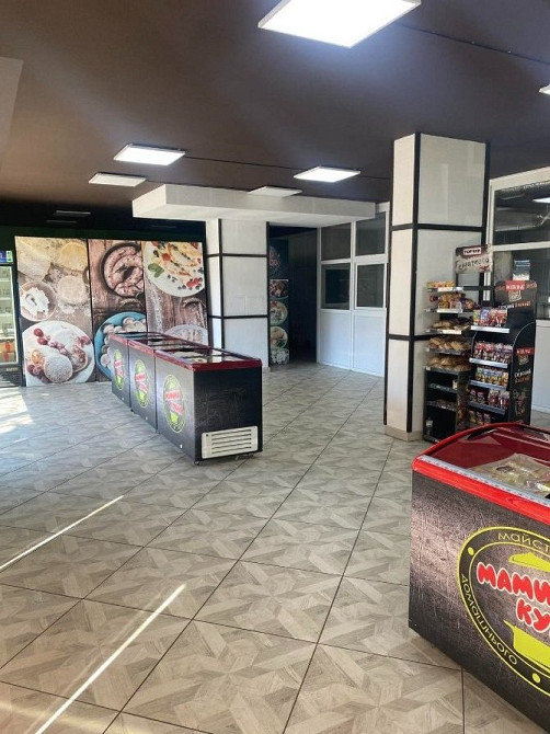 Продається діючий бізнес з виробництва заморожених напівфабрикатів Стрий - зображення 2