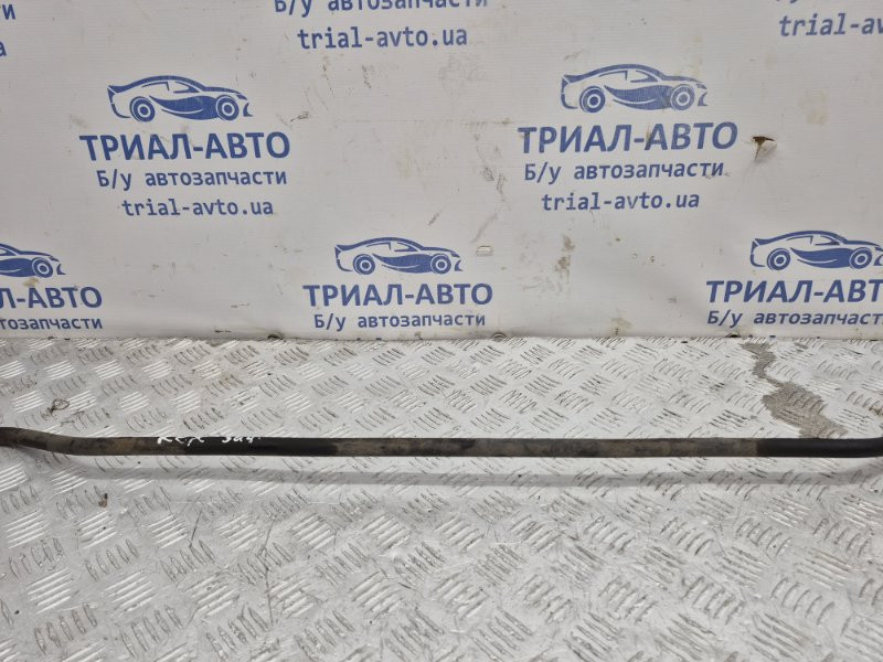 Стабилизатор задний SsangYong Rexton 2006-2012 4571009001 (Арт. 61647) Киев - изображение 4