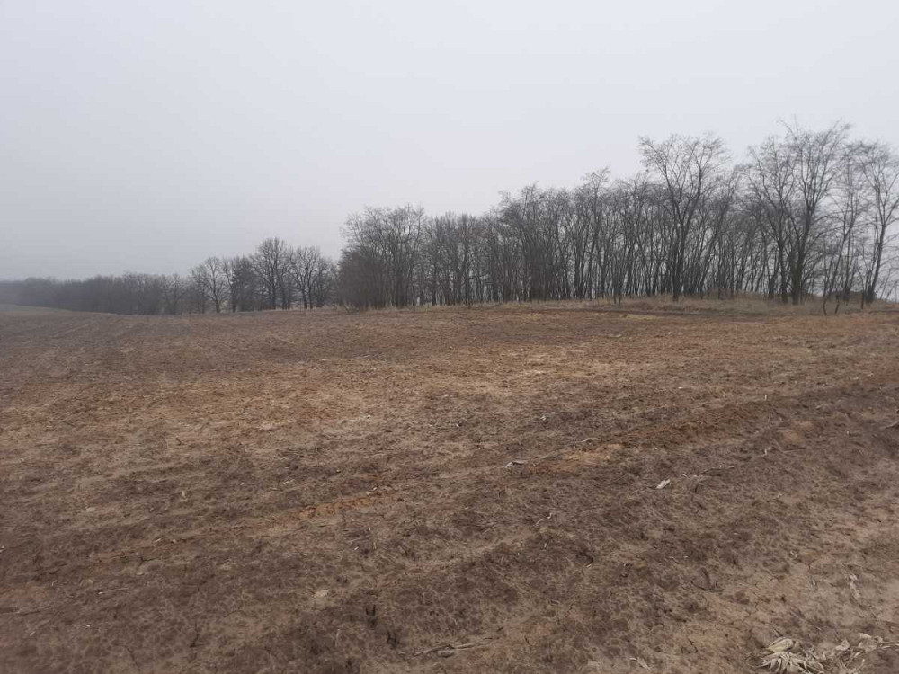 продажа земля сельскохозяйственного назначения Бориспольский, Вороньков, 221503 грн.  - зображення 2