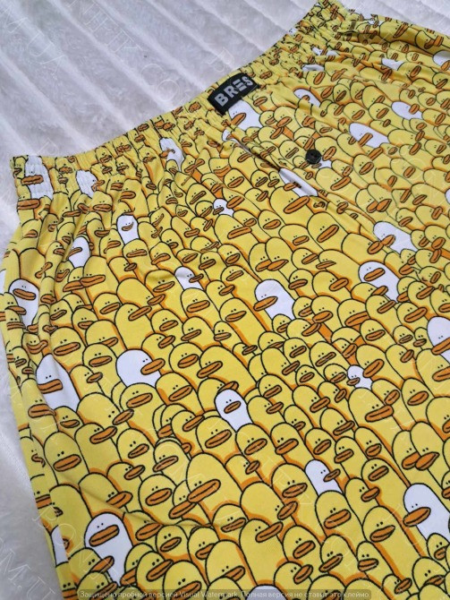 Мужские семейные трусы с принтом «Уточки» ТМ "BRES" (арт. MBXK 307/01/118) Кривий Ріг - зображення 3