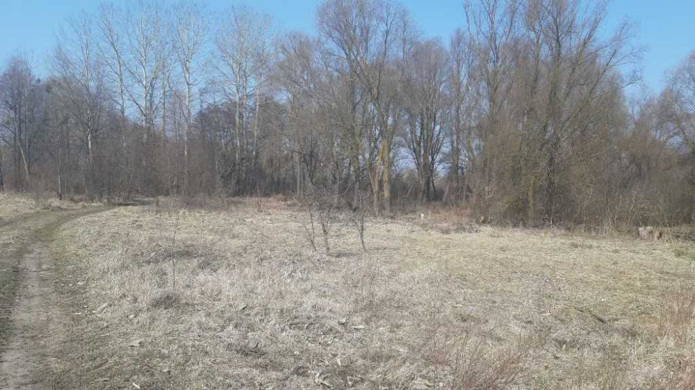 продажа земля сельскохозяйственного назначения Бориспольский, Вороньков, 262600 грн.  - изображение 3