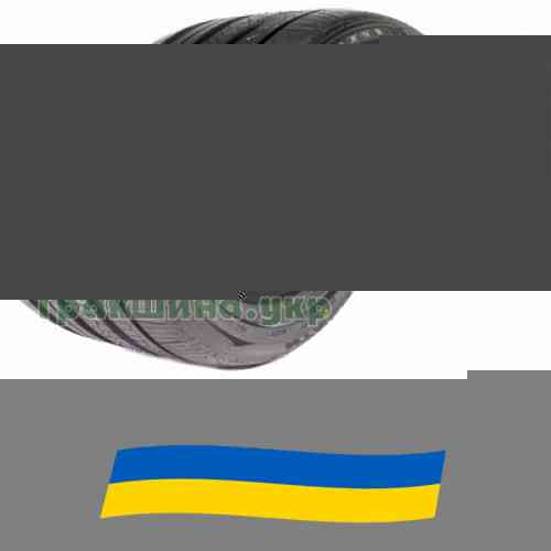 245/45 R17 Nitto NT830 plus 99W Легкова шина Киев