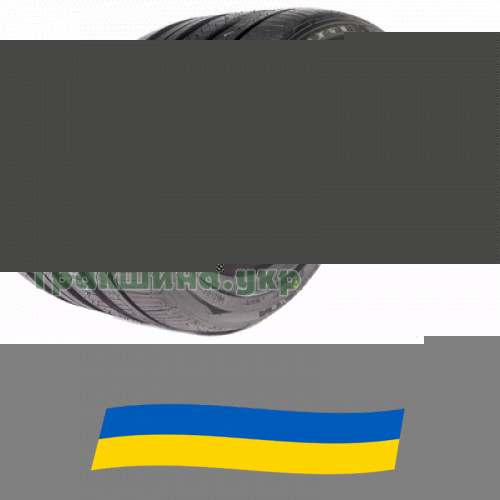 245/45 R17 Nitto NT830 plus 99W Легкова шина Киев - изображение 1