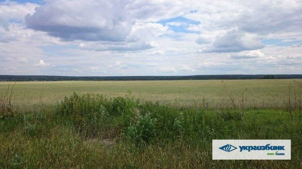 продажа земля сельскохозяйственного назначения Макаровский, Мостище, 1339000 грн.  - зображення 4