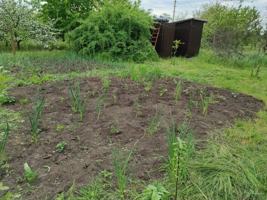 Продам дачну ділянку в с. Дачне Одеської області. 9 соток. Одеса - зображення 7