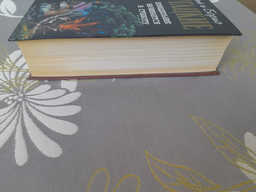 Стругацкие Понедельник начинается в субботу Отцы основатели фантастика Запоріжжя - зображення 5