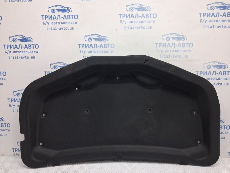 Обшивка капота Chevrolet Captiva C140 2.2 DIESEL Z22D1 2006 (б/у) Київ - зображення 1