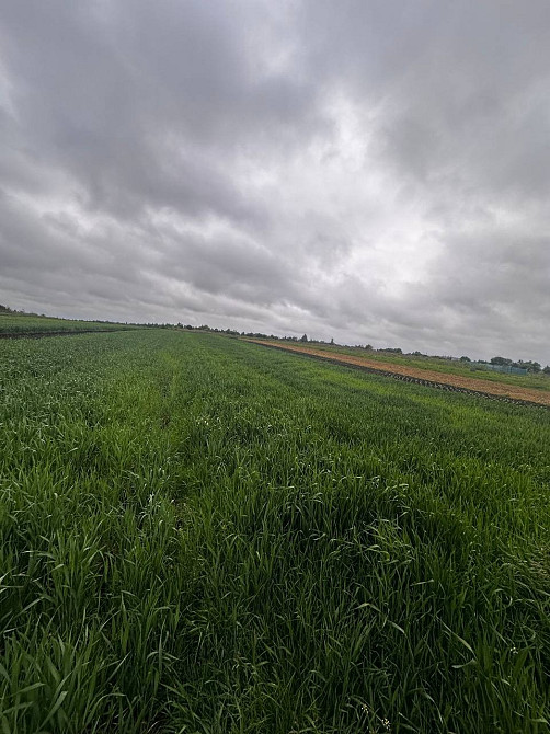 Продаж земельної ділянки Зубра осг 20соток Львів - зображення 7