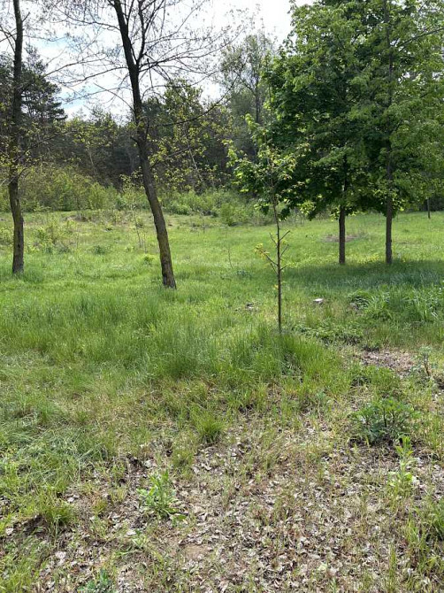 продажа участок под жилую застройку Васильковский, Васильков, 15000 $ Васильков - изображение 6