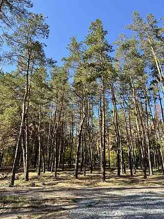 продажа участок под жилую застройку Новомосковский, Песчанка, 19950 $ 