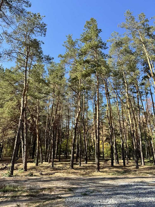 продажа участок под жилую застройку Новомосковский, Песчанка, 19950 $  - изображение 6