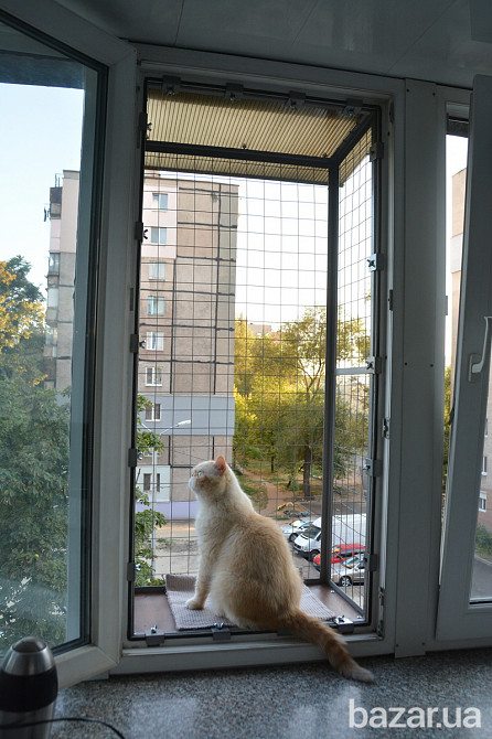 Балкон для выгула кошек, по почте. "Броневик" Днепр. Дніпро - зображення 1