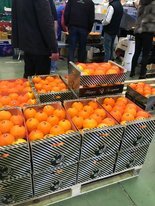 Продаем апельсины Киев - изображение 6