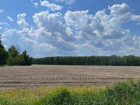 продажа земля сельскохозяйственного назначения Макаровский, Марьяновка, 105000 грн. 