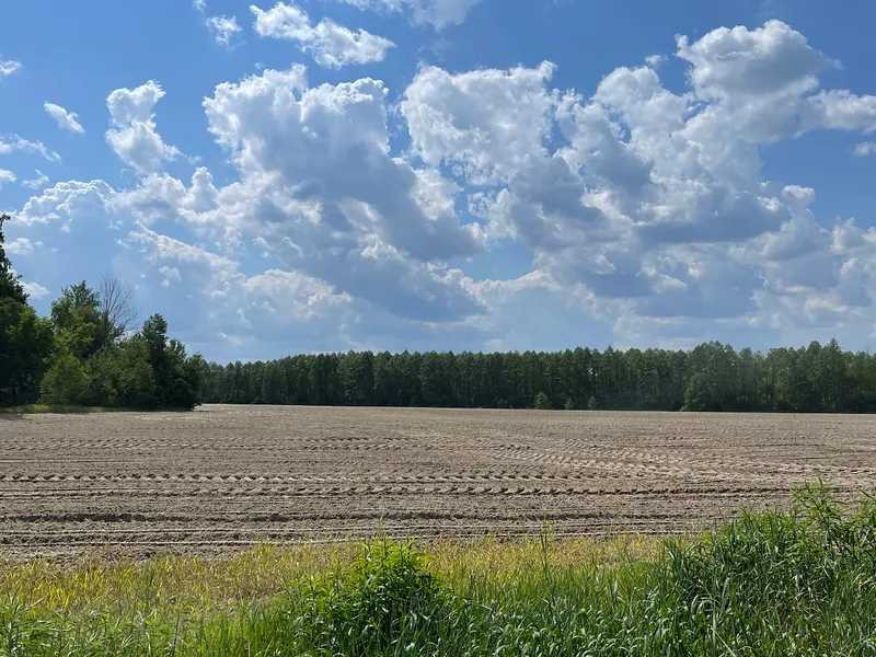 продажа земля сельскохозяйственного назначения Макаровский, Марьяновка, 105000 грн.  - зображення 2