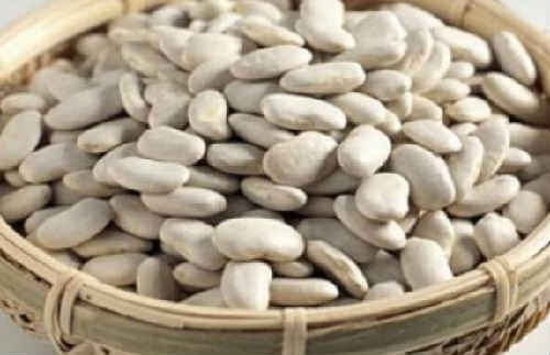 Закуповуємо білу квасолю. Купуємо квасолю на переробку Хмельницкий - изображение 1