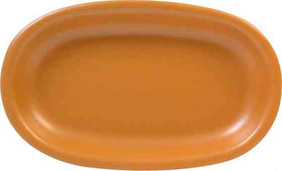 Блюдо овальне Keramia Теракота 24-237-031 22х15х3 см Київ