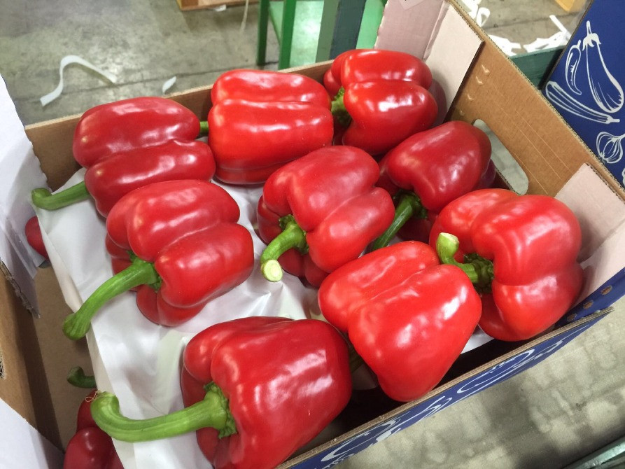 Продаем перенц Київ - зображення 12