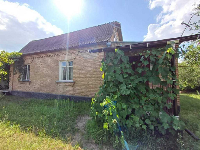 продажа 3-к дом Васильковский, Погребы, 39000 $  - изображение 3