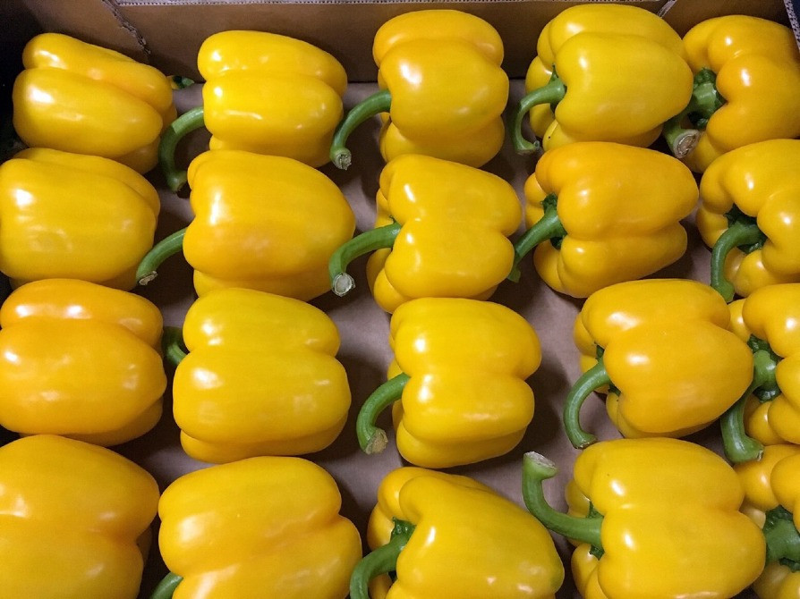 Продаем перенц Київ - зображення 7