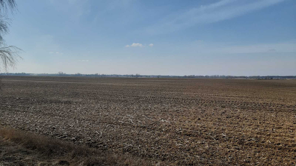 продажа земля сельскохозяйственного назначения Бориспольский, Сеньковка, 218540 грн.  - зображення 2