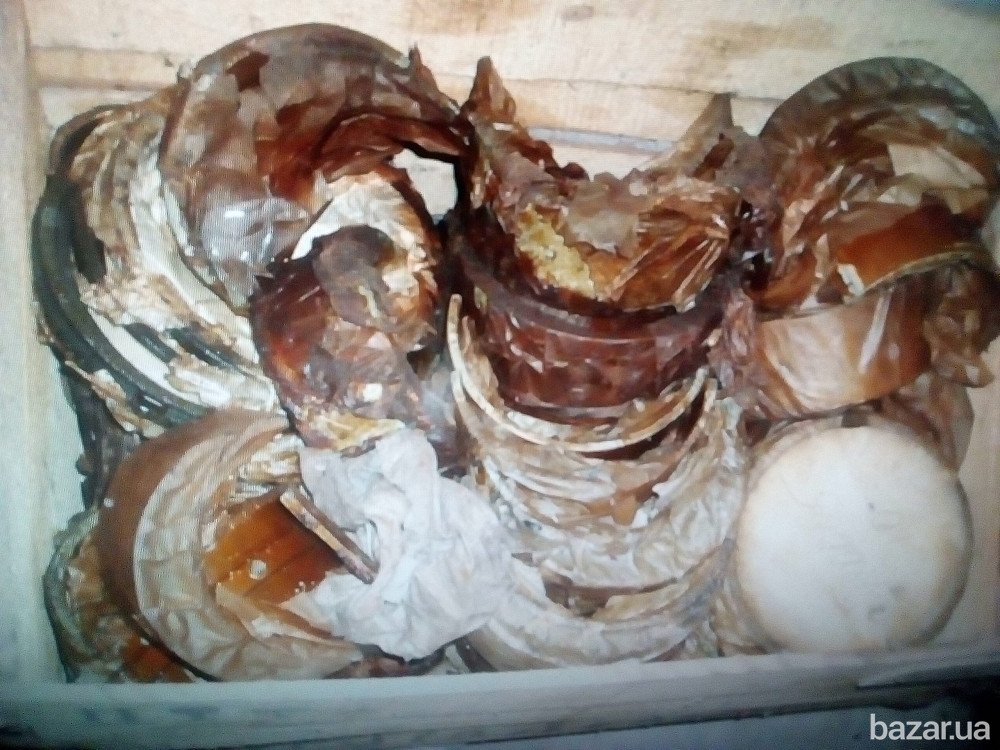 Вкладыши дизеля "Хабаровец" Полтава - изображение 1