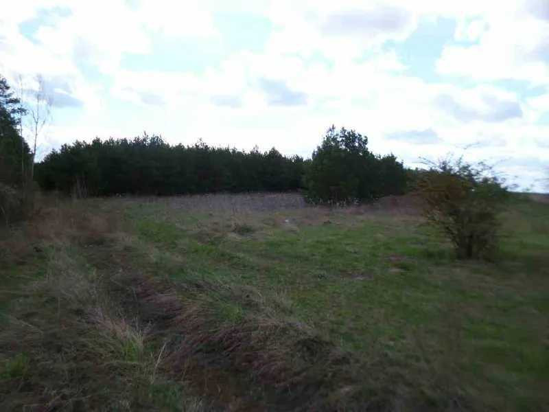 продажа земля сельскохозяйственного назначения Бориспольский, Вороньков, 250000 грн.  - зображення 6