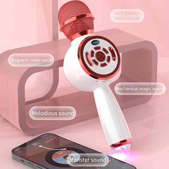 Караоке Микрофон-колонка DS810 Херсон