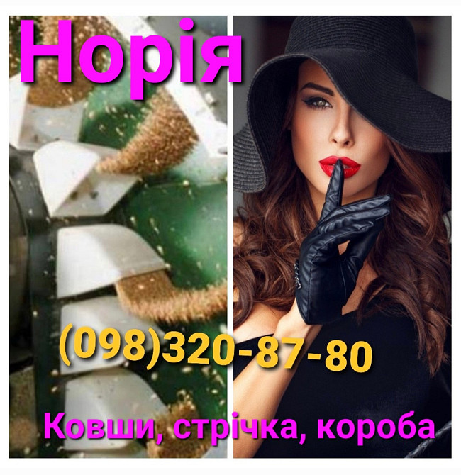 Нория ковшевая 900 т/ч , запчасти Київ - зображення 5