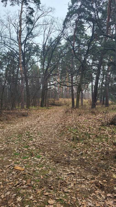 продажа участок под жилую застройку Киево-Святошинский, Вита-Почтовая, 8300 $  - зображення 8