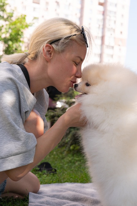 Померанський шпіц хлопчик 4 місяці Київ - зображення 9