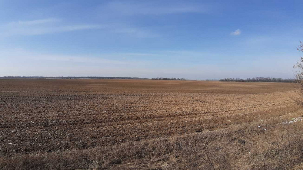 продажа земля сельскохозяйственного назначения Бориспольский, Сеньковка, 218540 грн.  - зображення 3