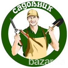 Садовник, обрезка сада, садовых деревьев, уход за садом Одеса Одеса - зображення 1