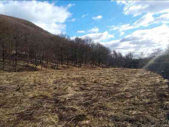 Інвест-проект: 80 соток у Солочині під розлив мінеральної води Ужгород