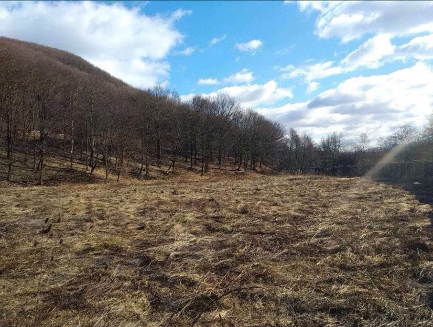 Інвест-проект: 80 соток у Солочині під розлив мінеральної води Ужгород - зображення 1