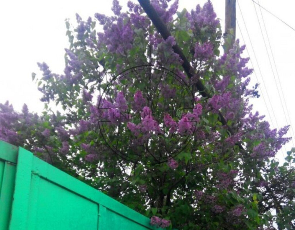 Продаж земельна ділянка 33 сотки з будинком 100 м2 і гараж в Подільському районі. № 264739 Киев - изображение 3