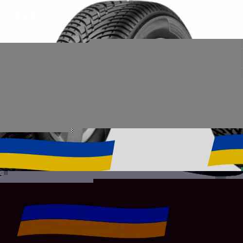 215/50 R17 BFGoodrich G-Force Winter 2 95H Легкова шина Киев