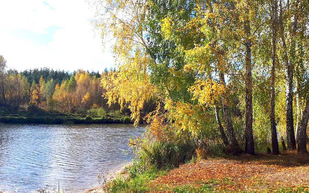 продажа участок под жилую застройку Макаровский, Николаевка, 5700 $  - зображення 2