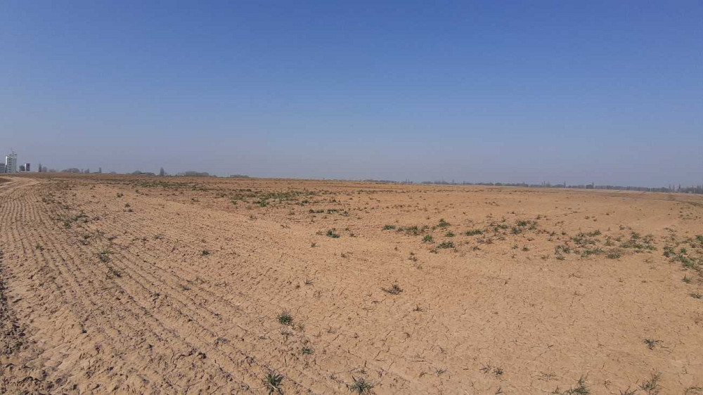 продажа земля сельскохозяйственного назначения Бориспольский, Вороньков, 304000 грн.  - зображення 2