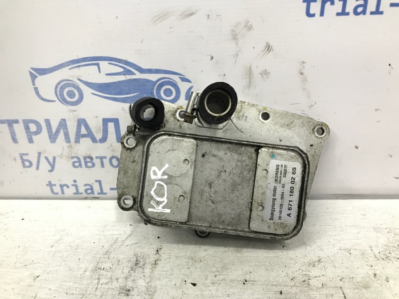 Радиатор масляный ДВС (теплообменник) SsangYong Korando C200 2.0 DIESEL 2010 (б/у) Киев - изображение 1