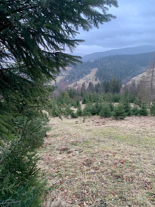 Земельна ділянка 0.35 га в Микуличині Яремче - зображення 5