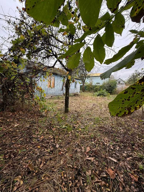 продажа земля сельскохозяйственного назначения Бориспольский, Чубинское, 18000 $  - зображення 1