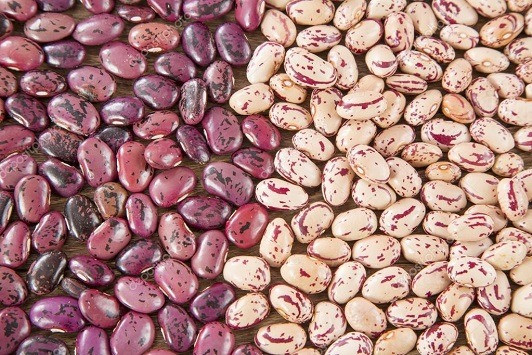 Фасоль оптом с доставкой по Украине Житомир - зображення 1