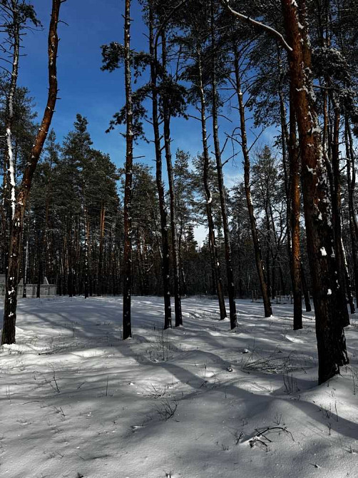 продажа участок под жилую застройку Новомосковский, Песчанка, 19950 $  - изображение 12
