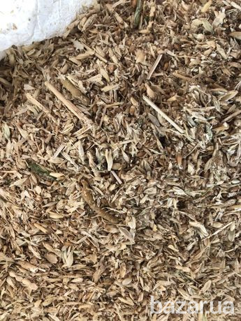 Закупівля зерновідходів дорого. Суми - зображення 1