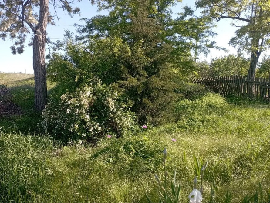 свободный участок в светлом Одесса - изображение 2